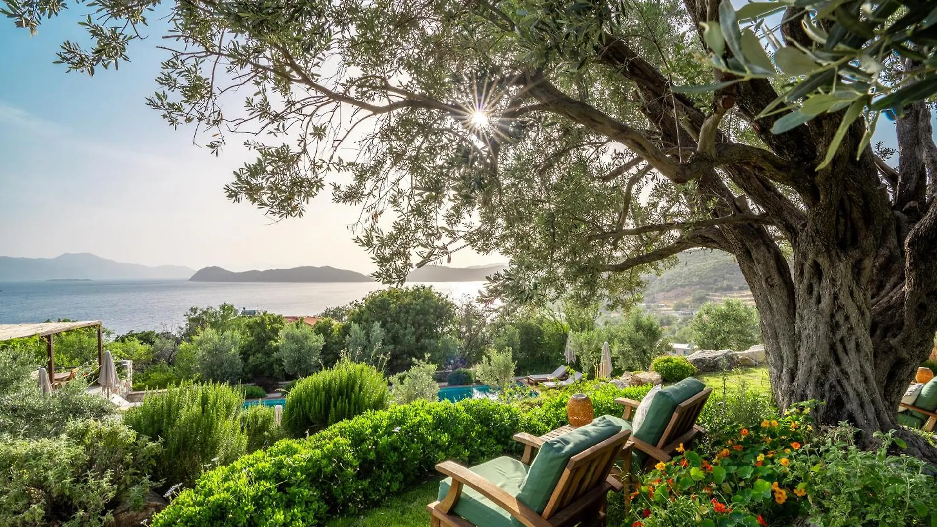 Bademli Bahce Soeguet Hotel  Sogut